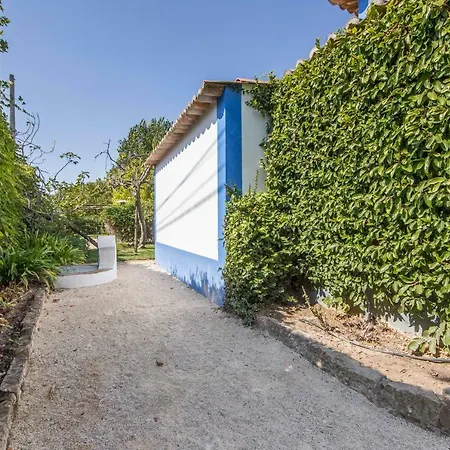 Meet The Artist's Retreat *