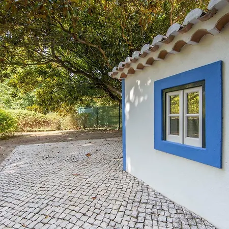 Meet The Artist's Retreat Vila Sintra