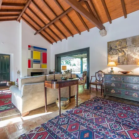 Meet The Artist's Retreat Vila *